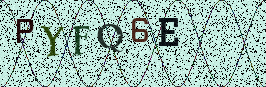 Visual Confirmation Security Code